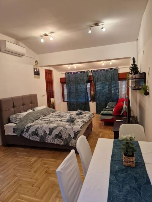 Apartment Warm House Full Of Ambient,joy And Comfort *